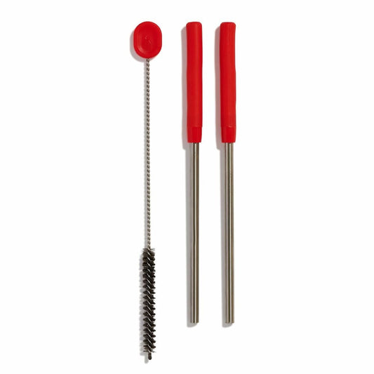Stainless Steel Straw Set - Goji